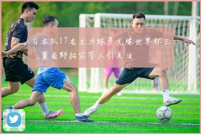 日本队17名主力球员无缘世界杯三笘薰南野拓实等人引关注