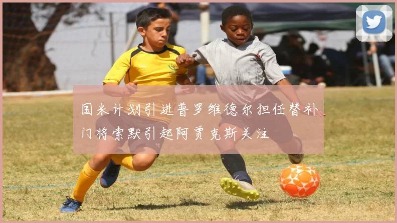 国米计划引进普罗维德尔担任替补门将索默引起阿贾克斯关注